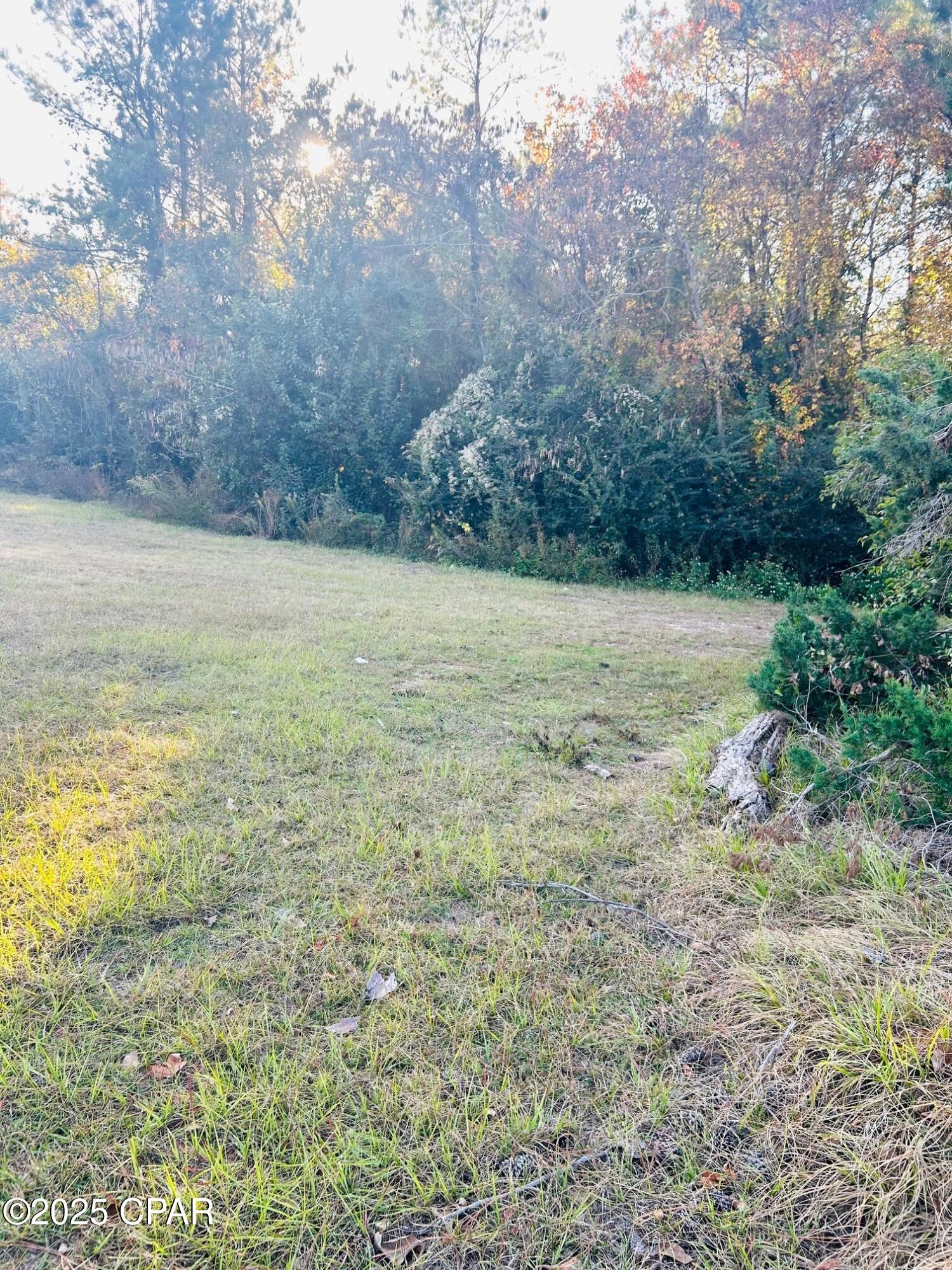 Image 2 For 0000 Fl-73  