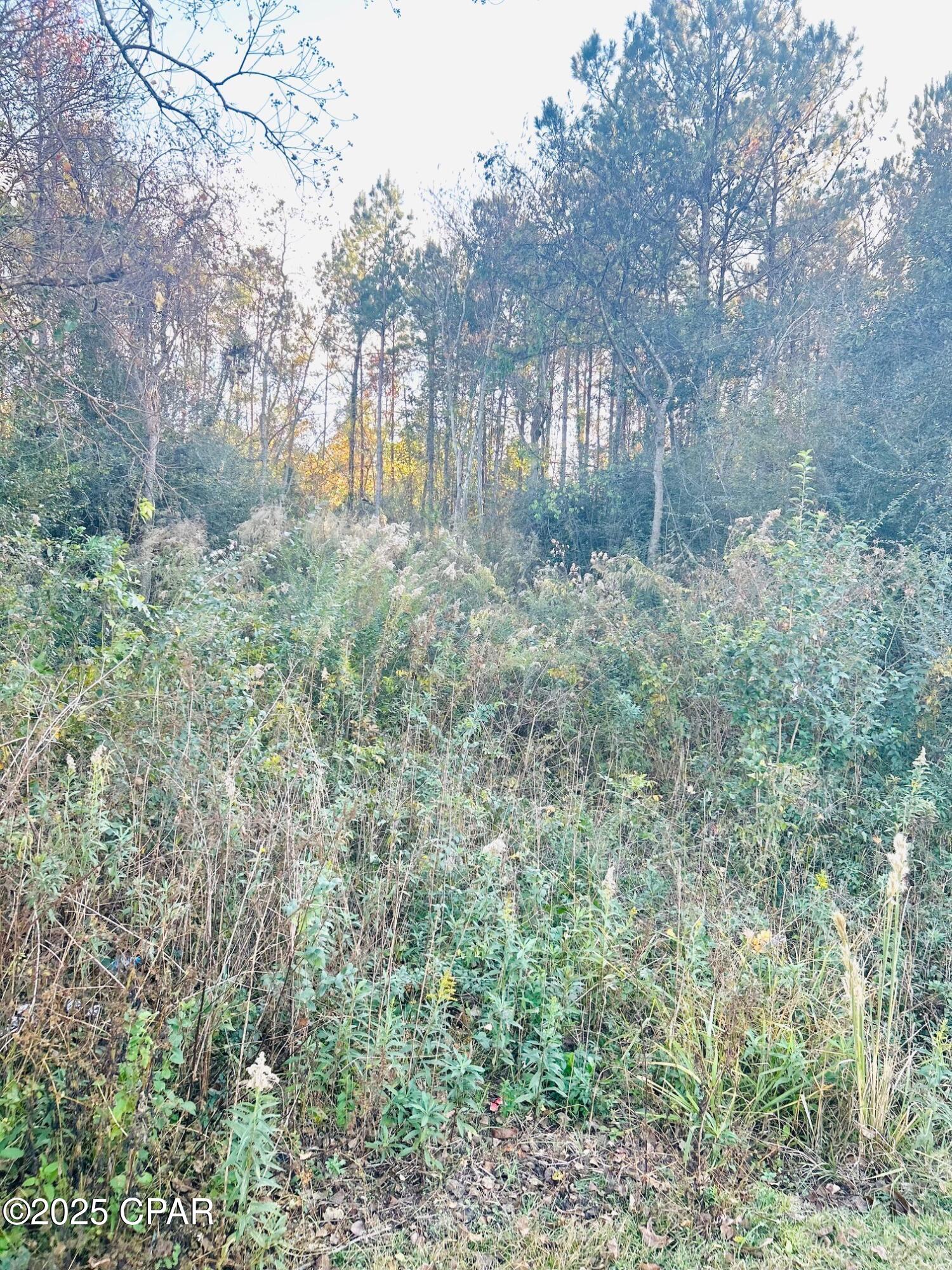 Image 4 For 0000 Fl-73  