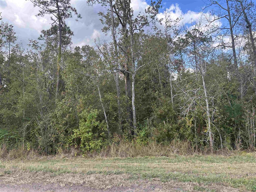 0 Mark Lebleu Road — photo 2