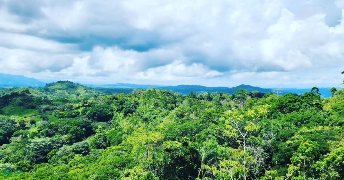0 bed Land For Sale in Turubares, San Jose - 1