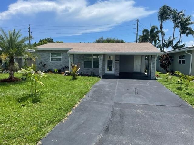 North Andrews Gardens Fir