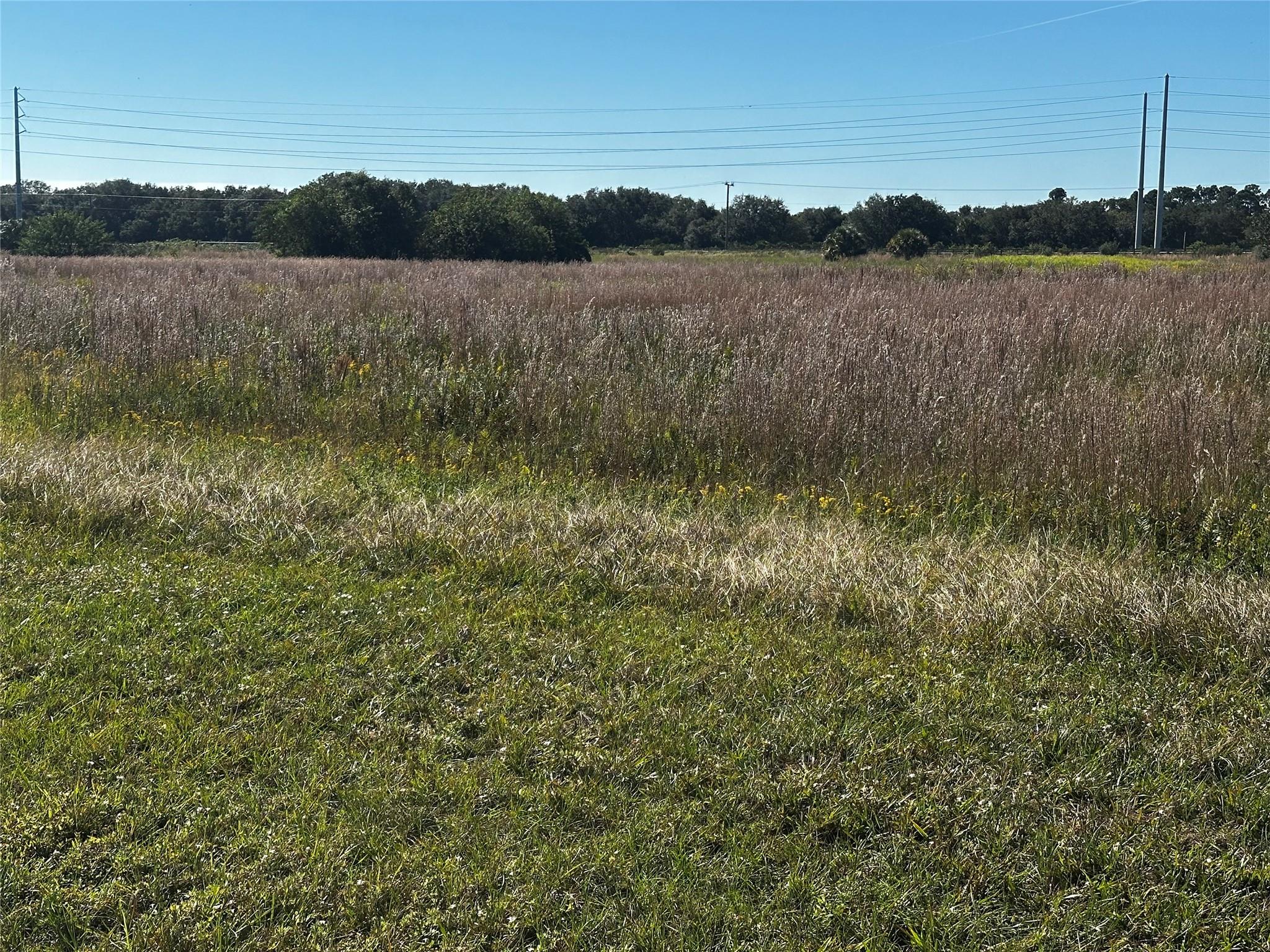 Sherman Wood Ranches