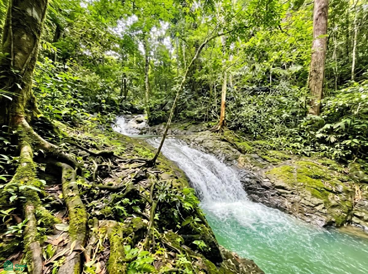 2 bed Land For Sale in Parrita, Puntarenas - 1