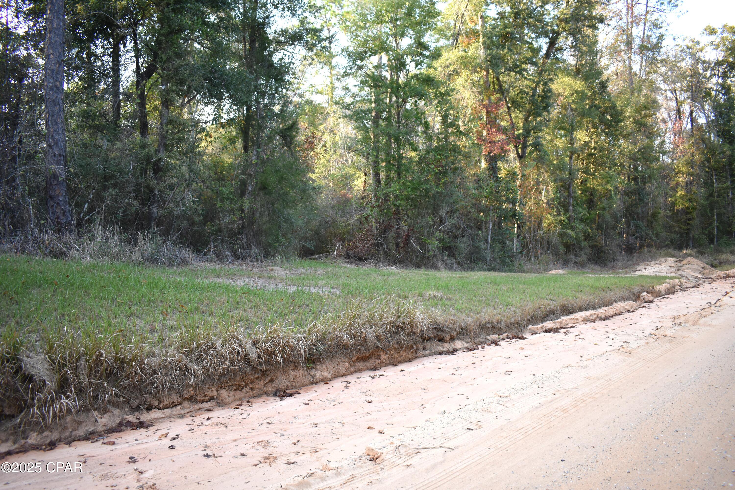 Details for Lot 1 Lakeview Rd., Caryville, FL 32427
