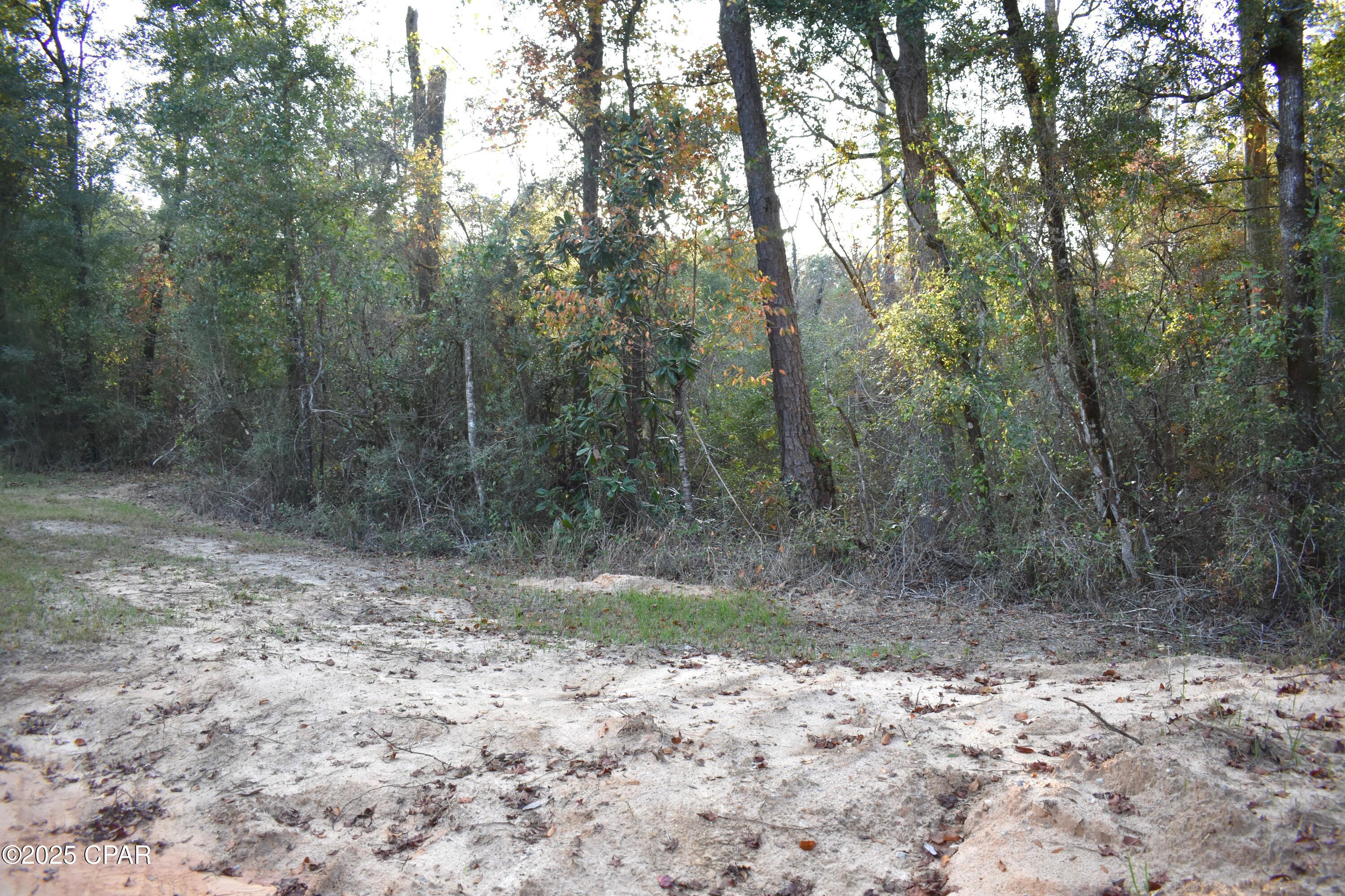 Image 5 For Lot 1 Lakeview Rd.