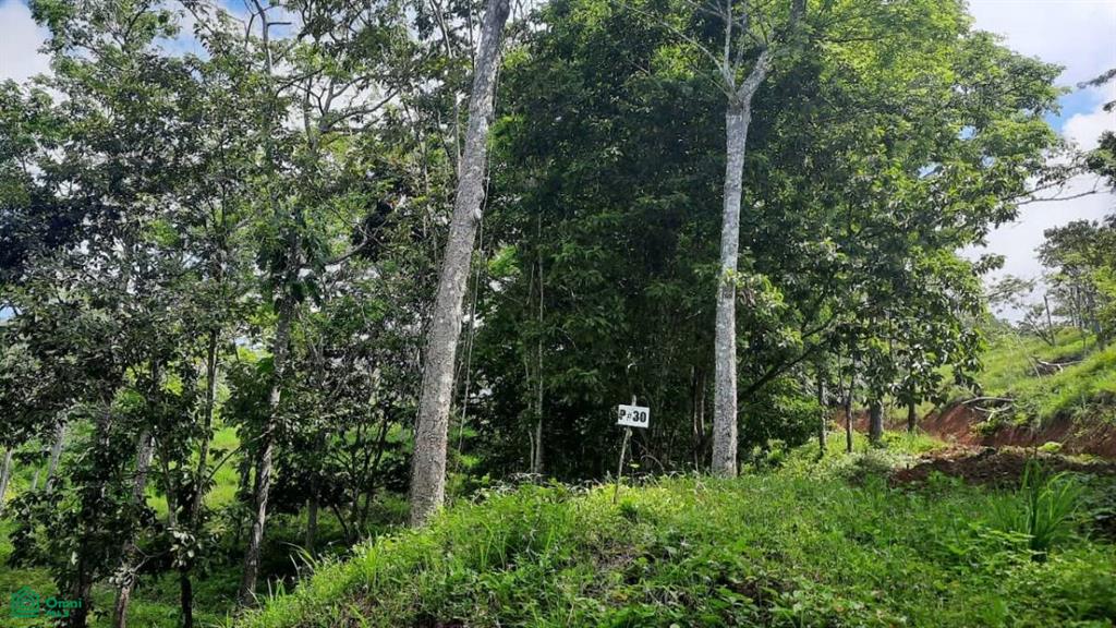 0 bed Land For Sale in Garabito, Puntarenas - 1