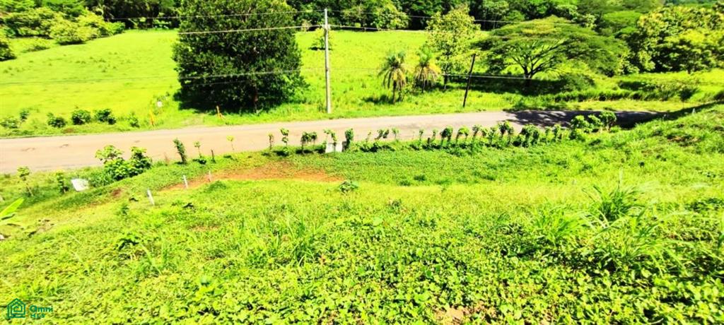 0 bed Land For Sale in Garabito, Puntarenas - 1