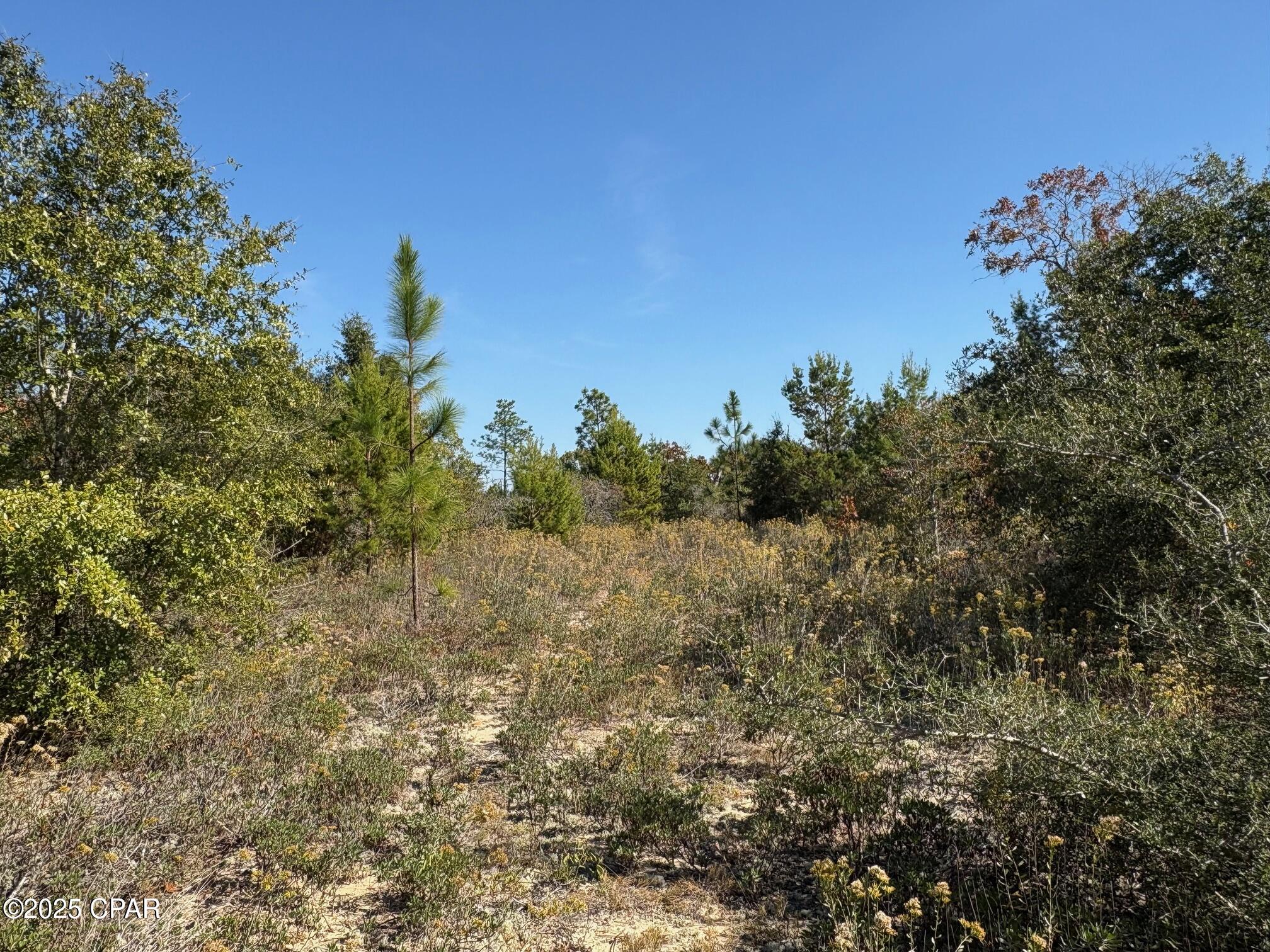 Image 11 For 0 Elkcam Boulevard