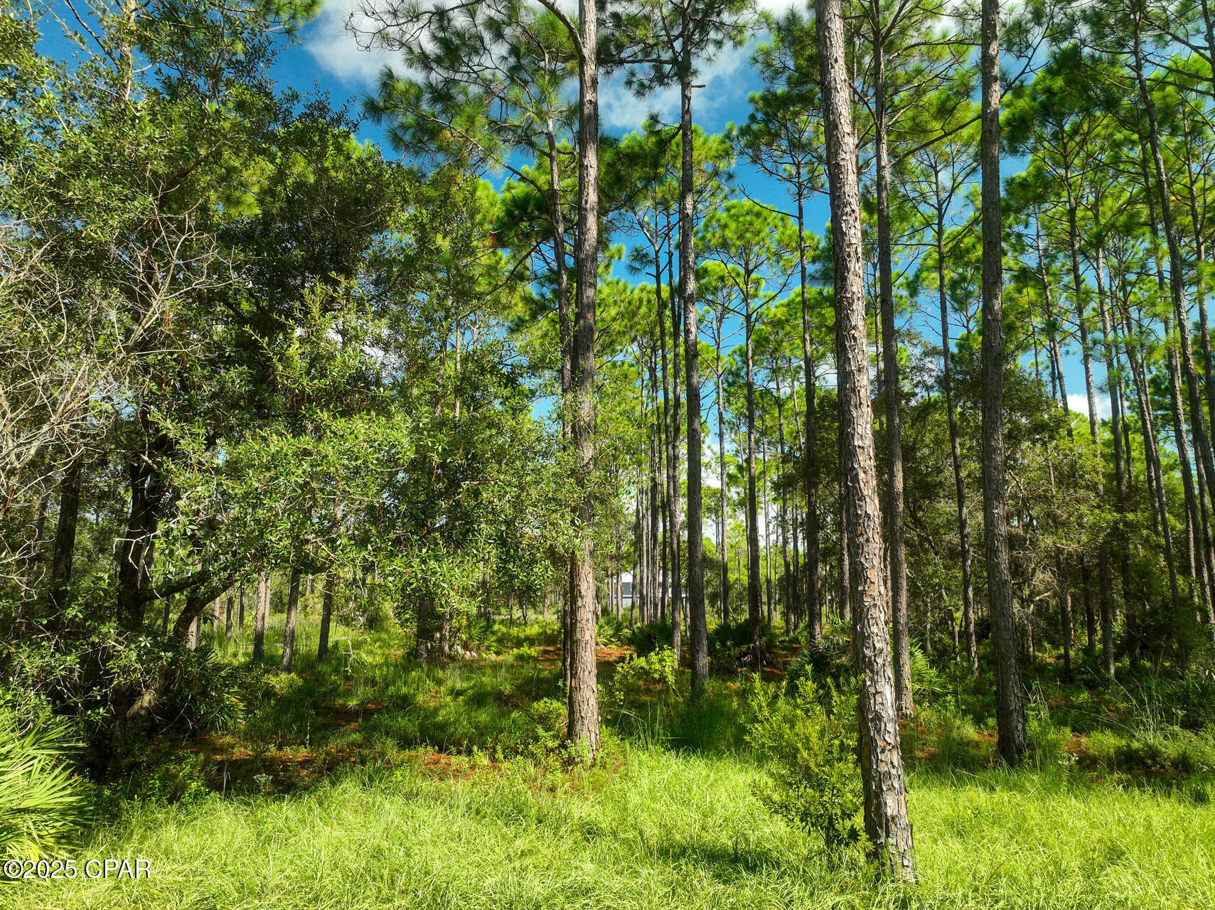 Image 6 For 6326 River House Drive