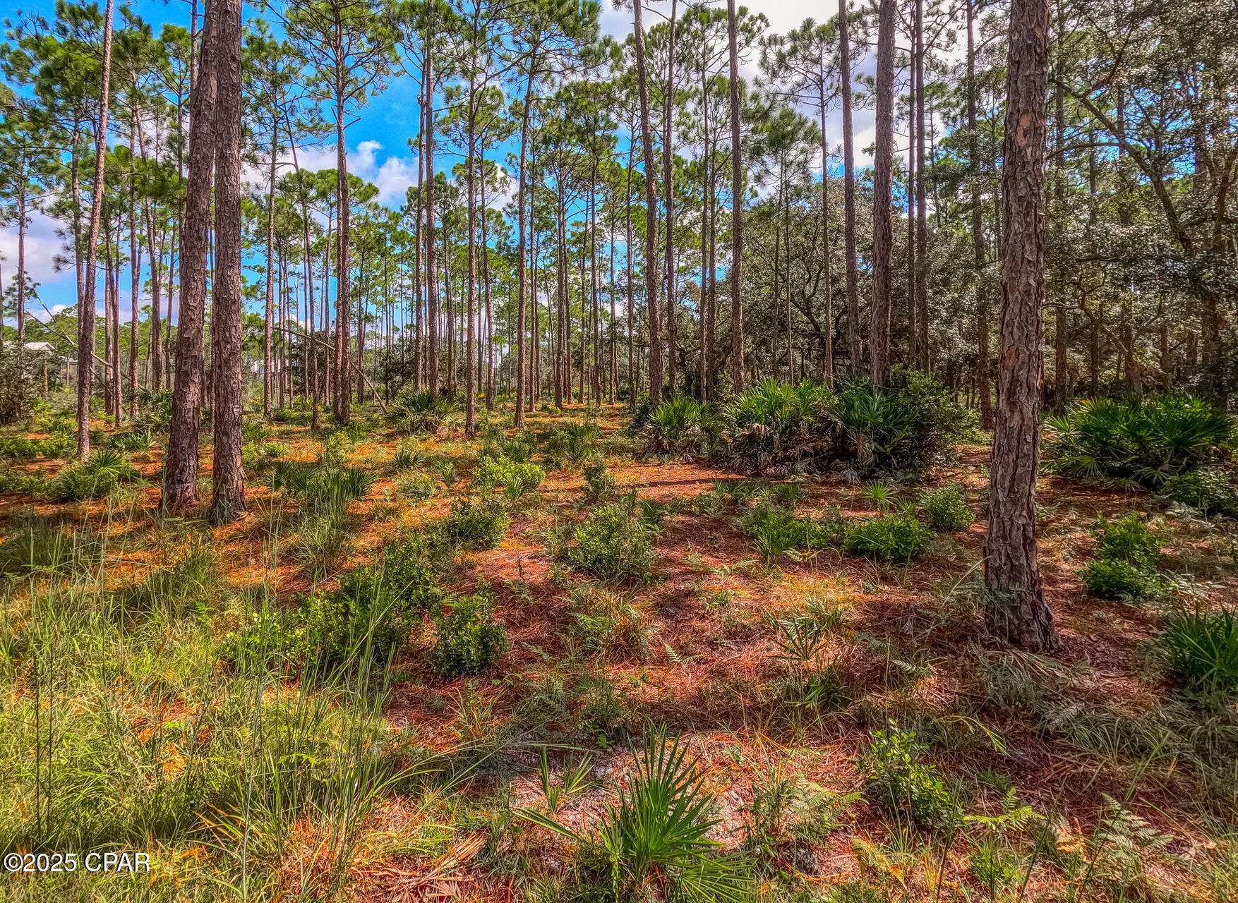 Image 6 For 6326 River House Drive