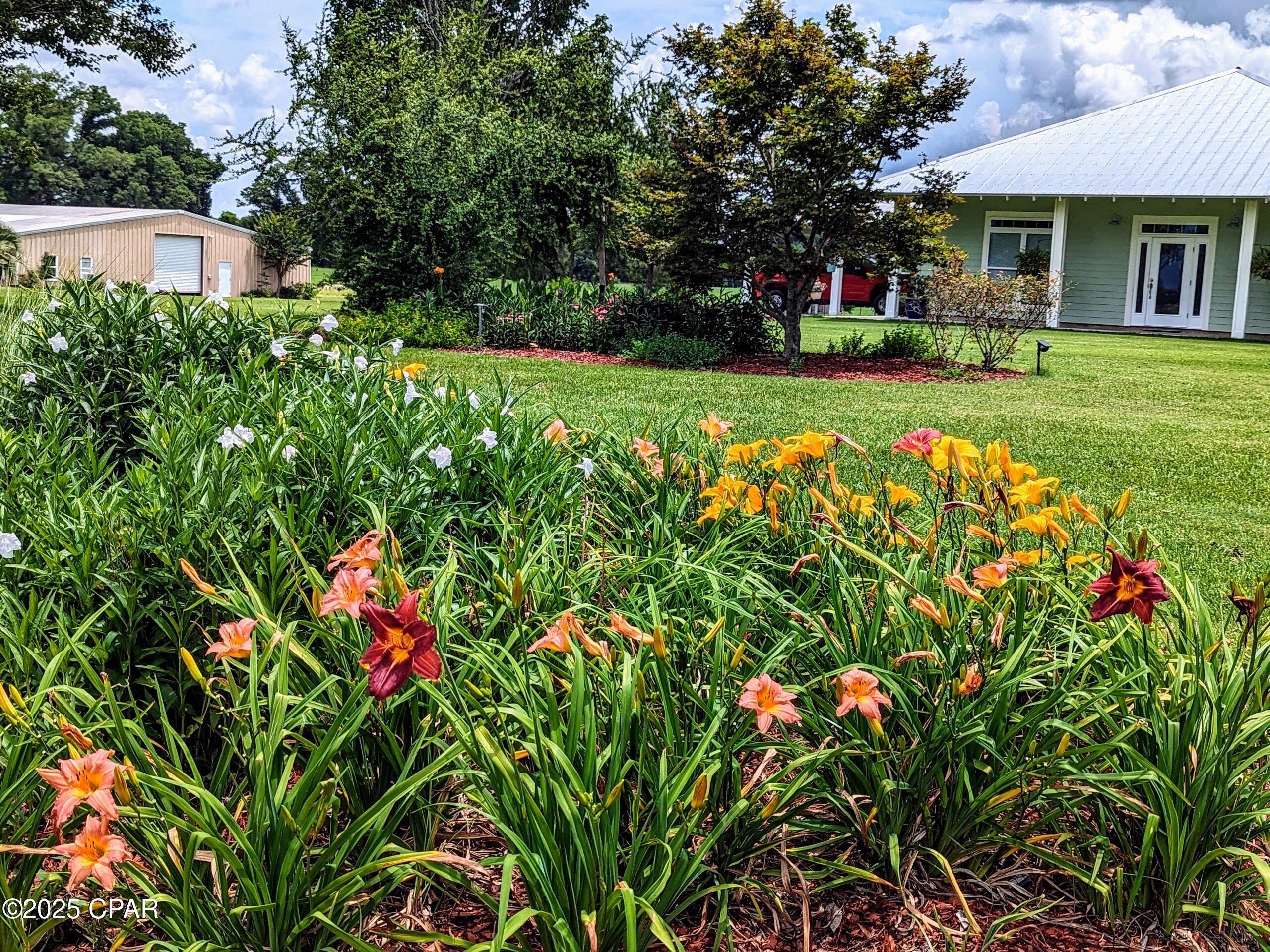 Image 25 For 5223-a Palamino Lane