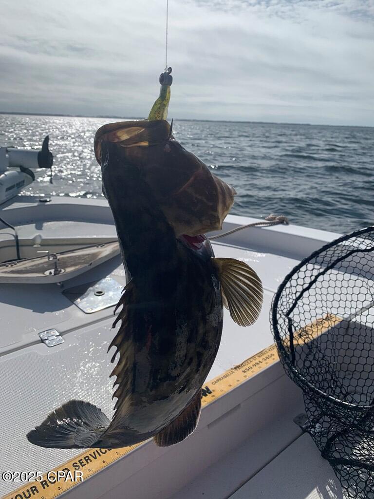 Image 71 For 3050 Highway 98  B15