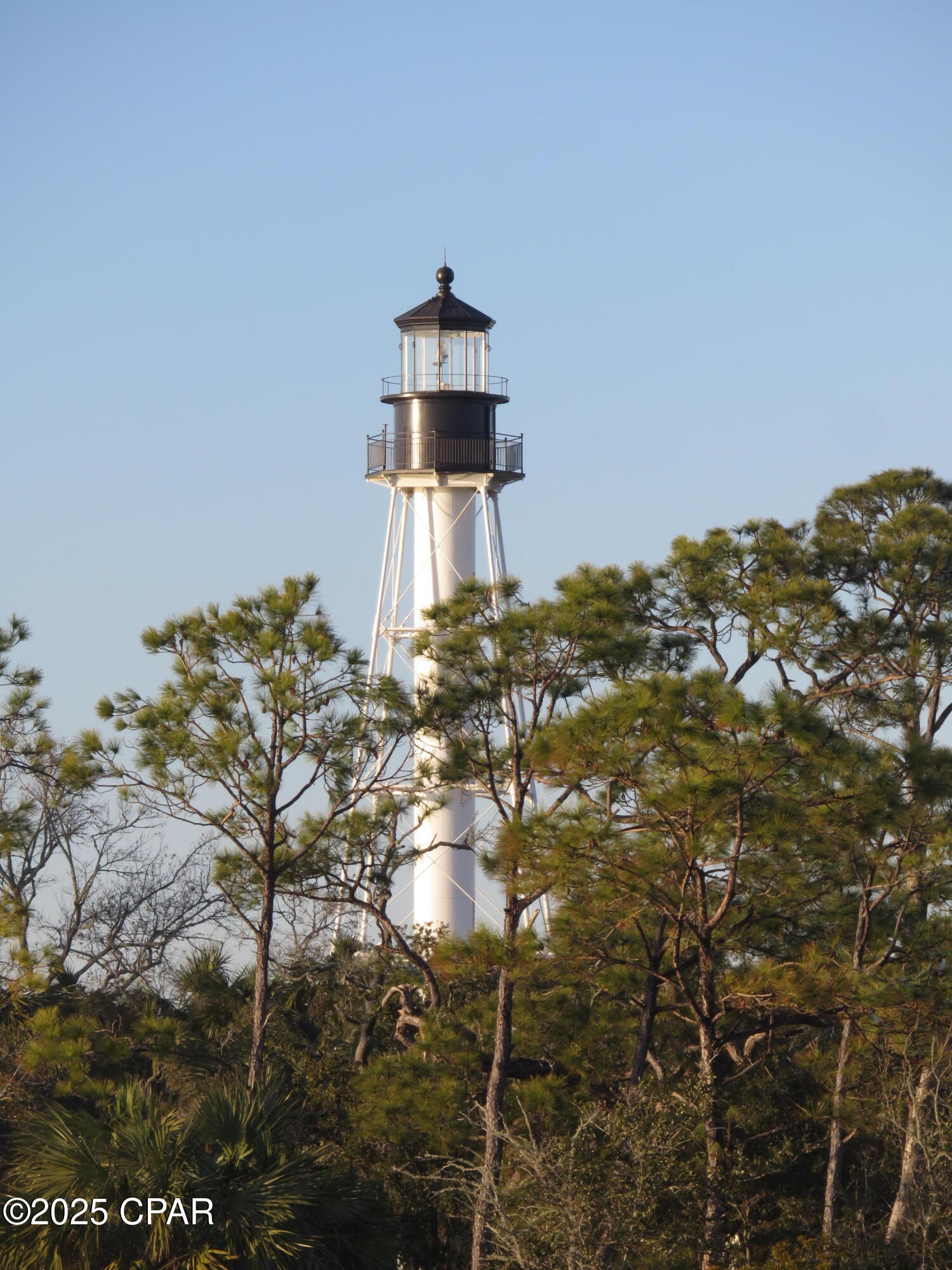 Image 73 For 3050 Highway 98  B15