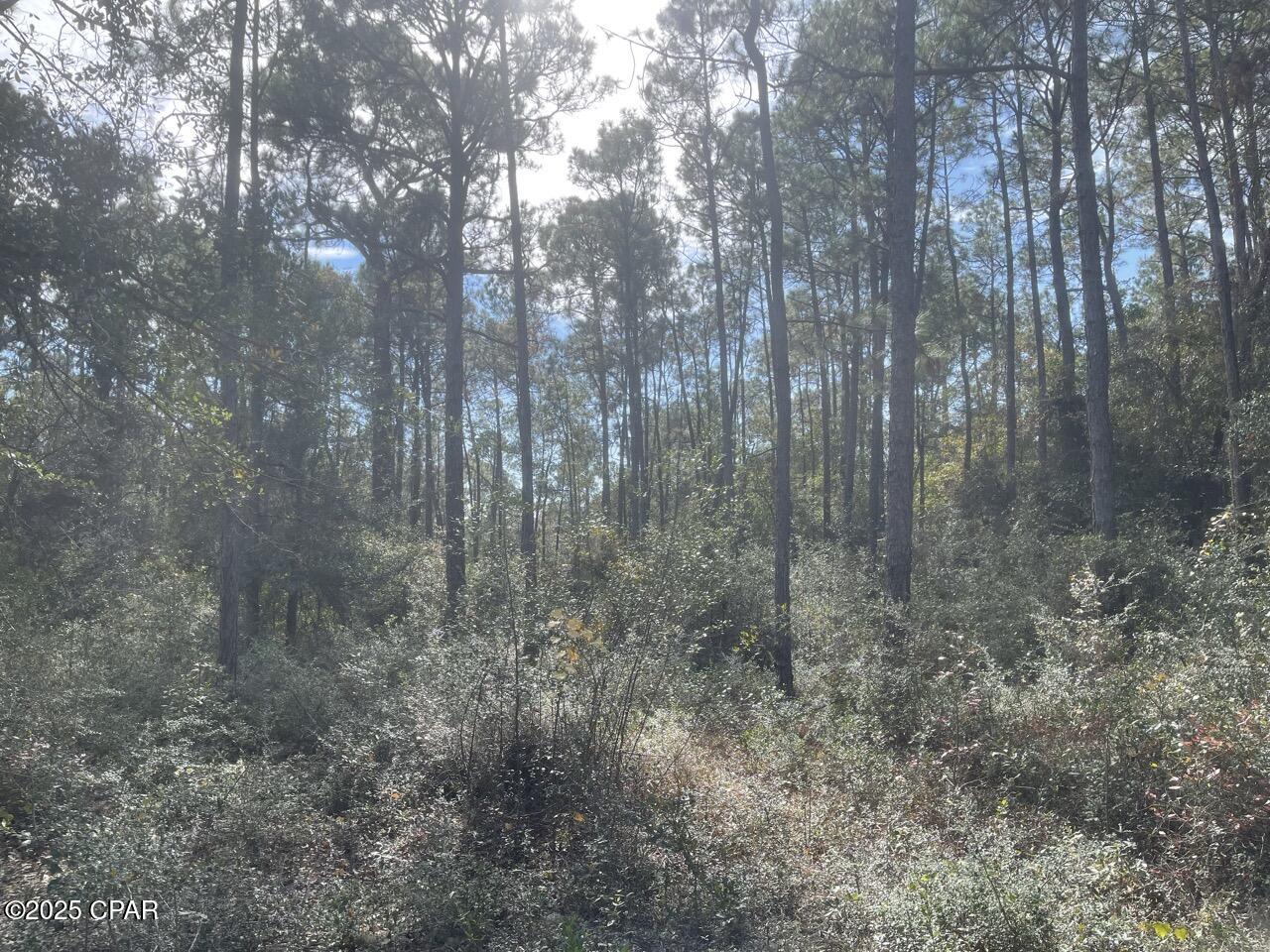 Image 11 For 0000 Lavon Road