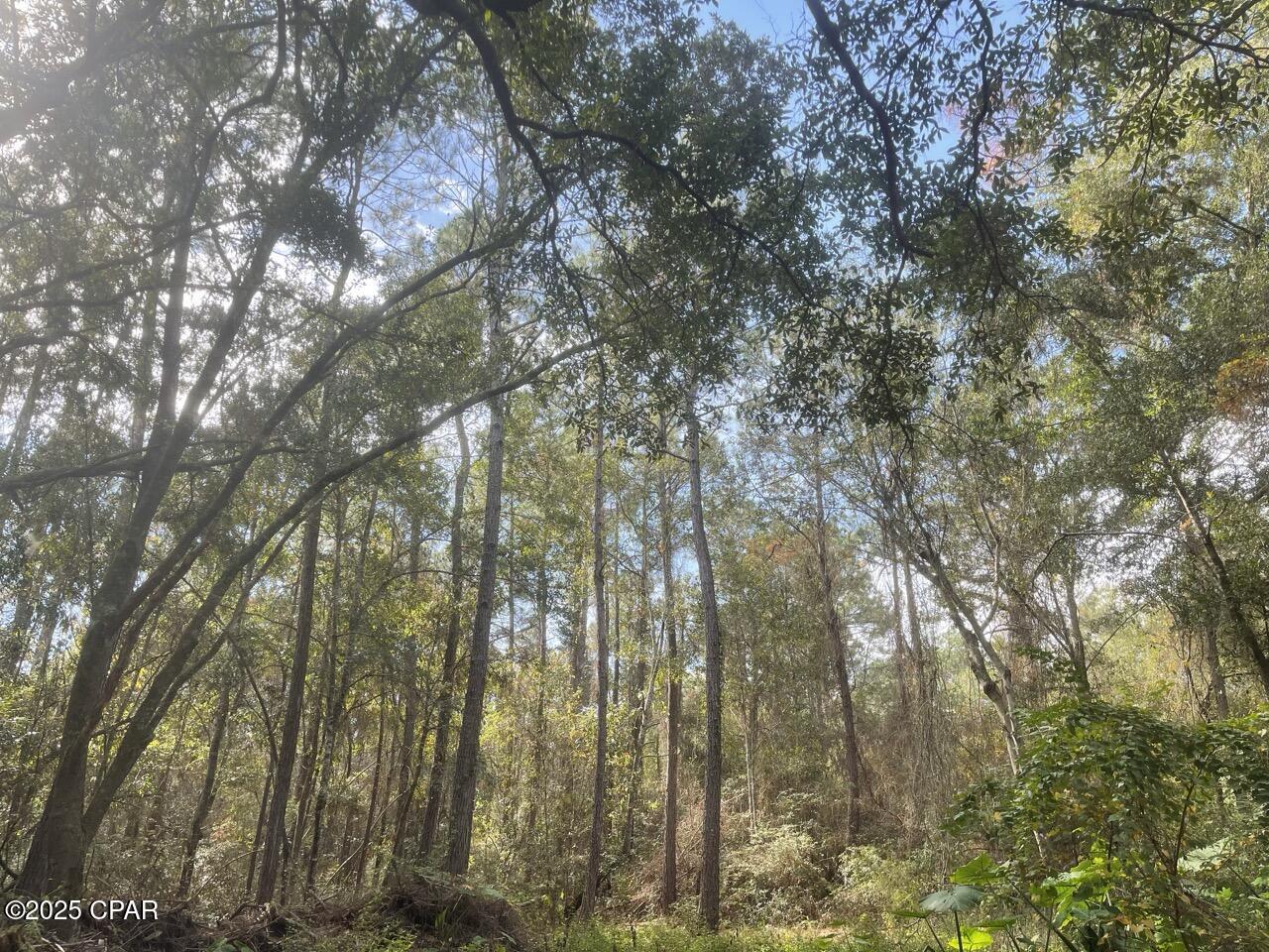 Image 7 For 0000 Lavon Road