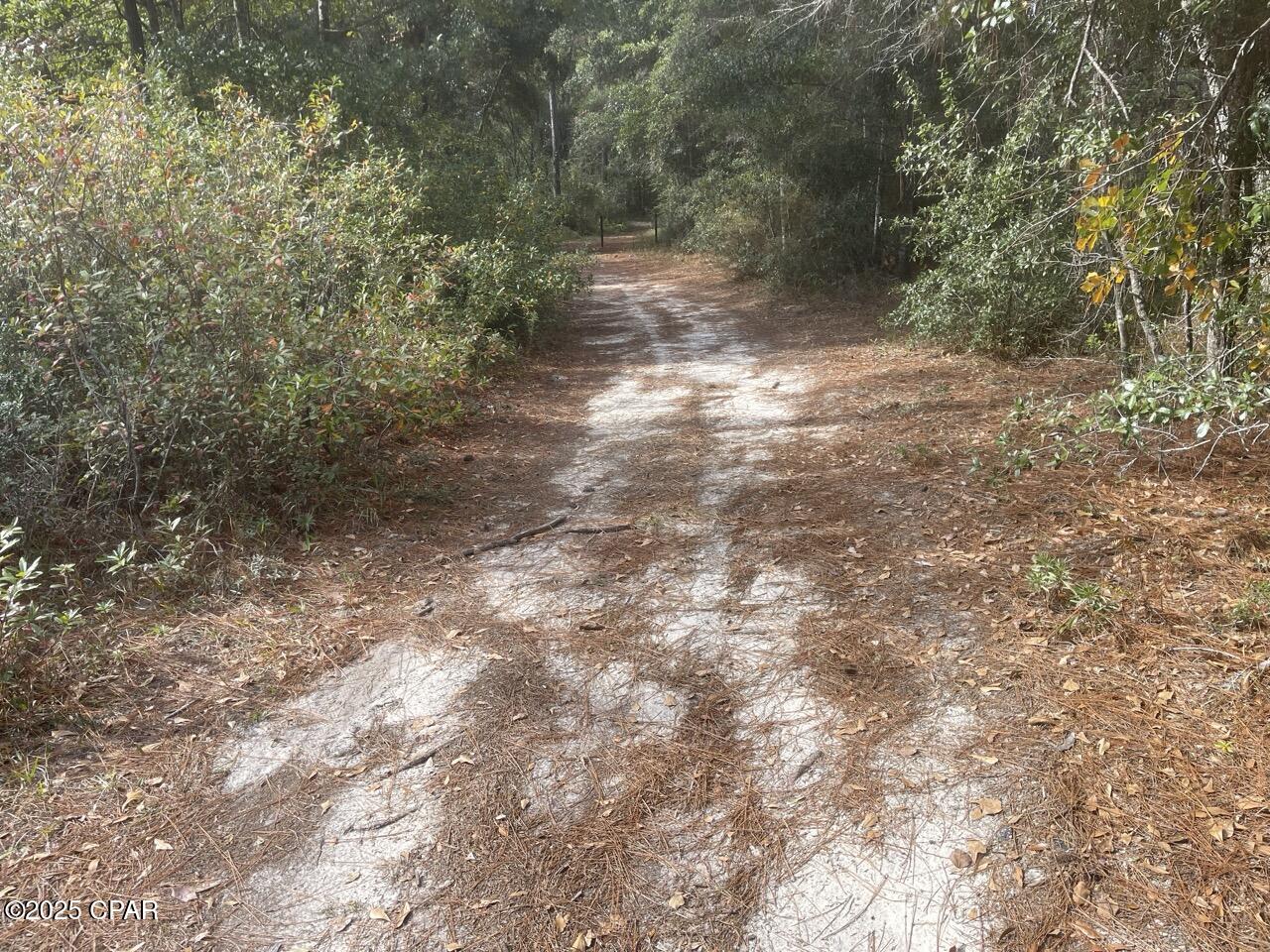 Image 9 For 0000 Lavon Road