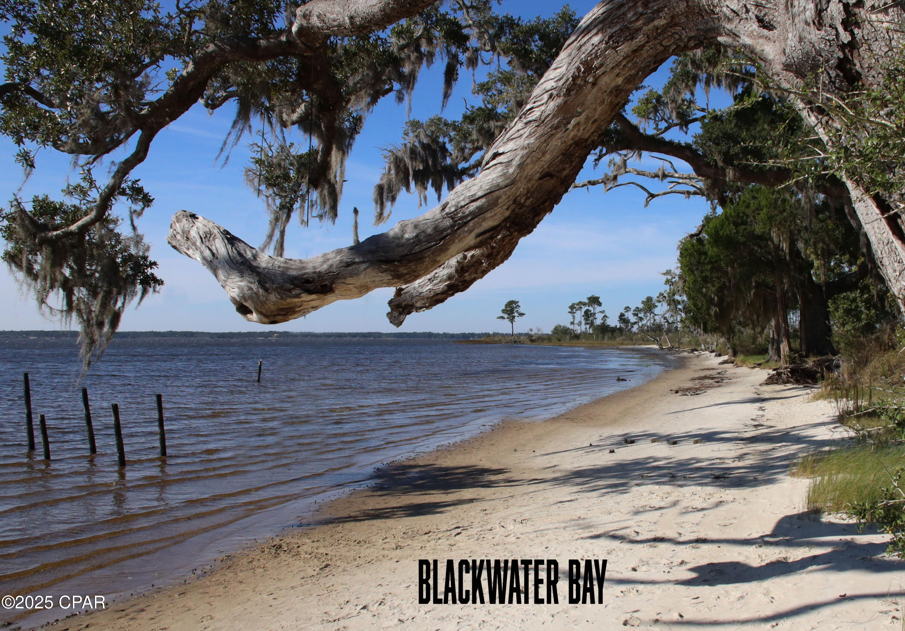 Image 12 For 0000 Garcon Street