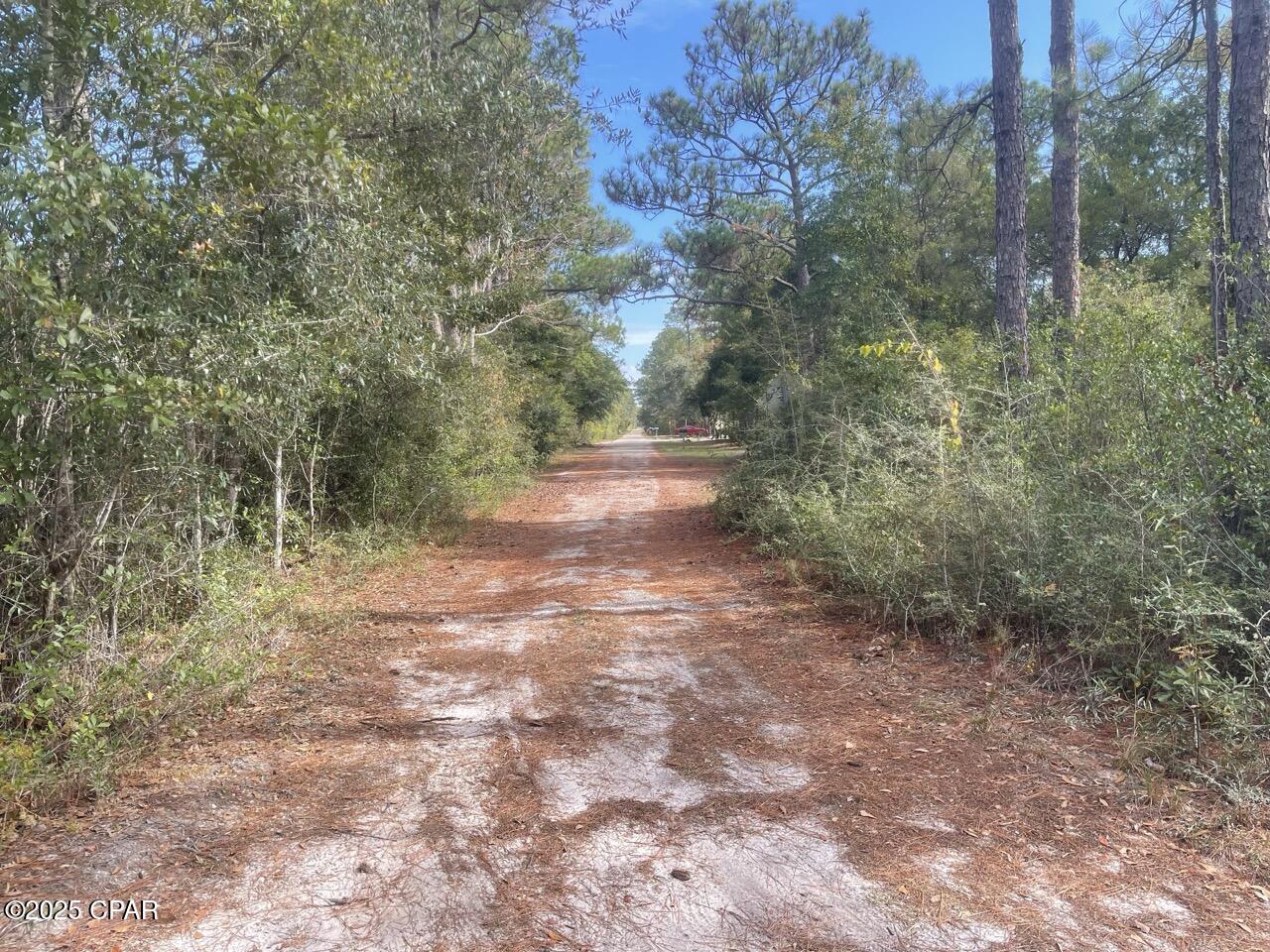 Image 8 For 0000 Garcon Street