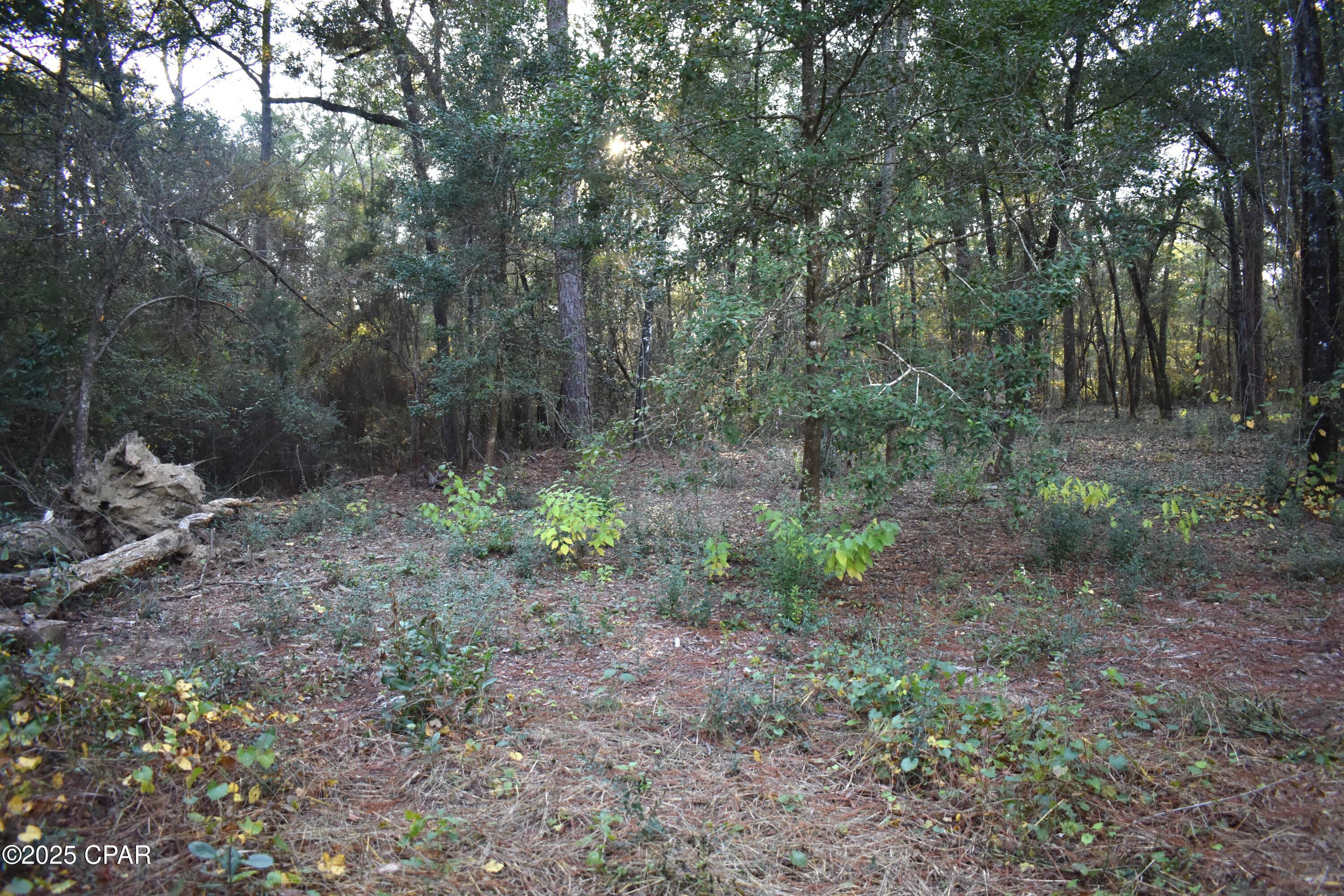 Image 23 For 1808 Lakeview Road