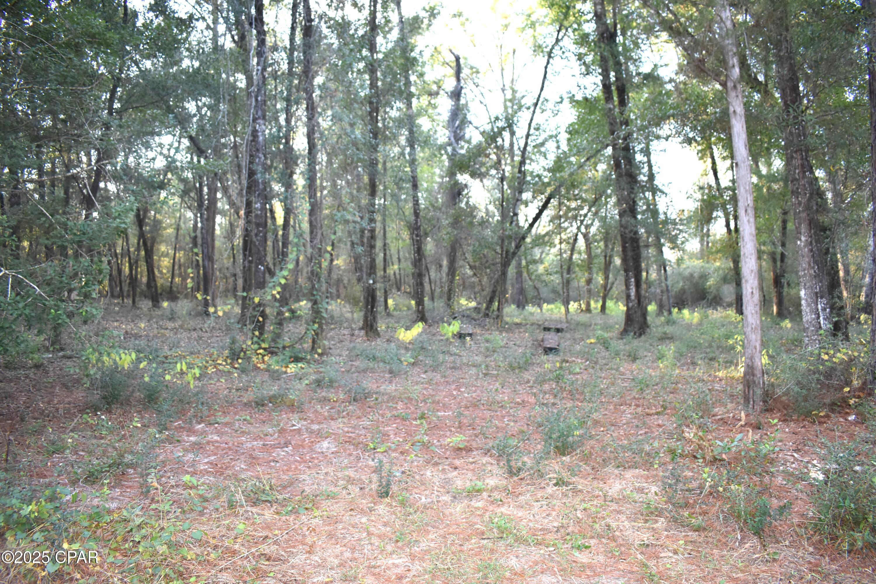 Image 24 For 1808 Lakeview Road