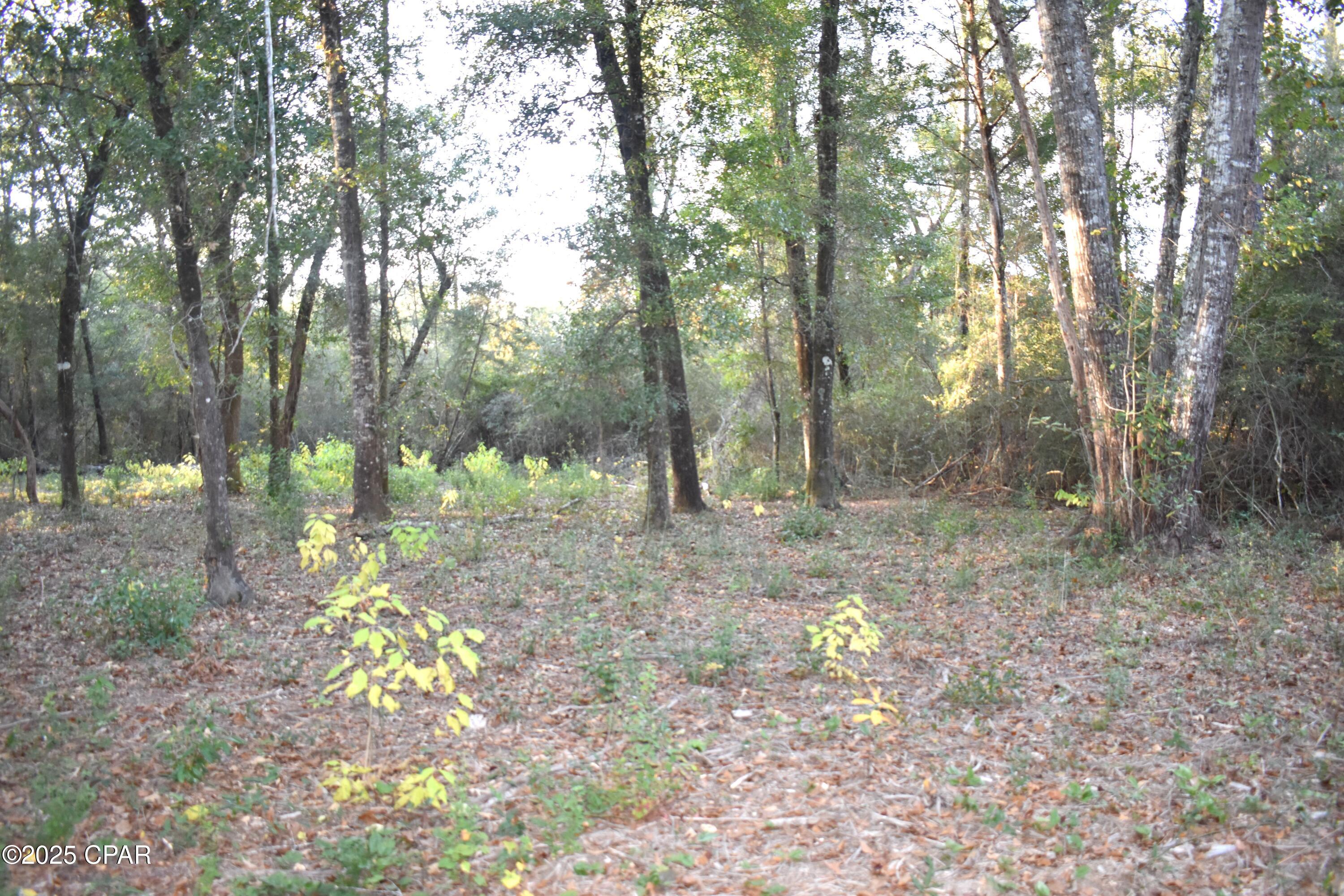 Image 25 For 1808 Lakeview Road