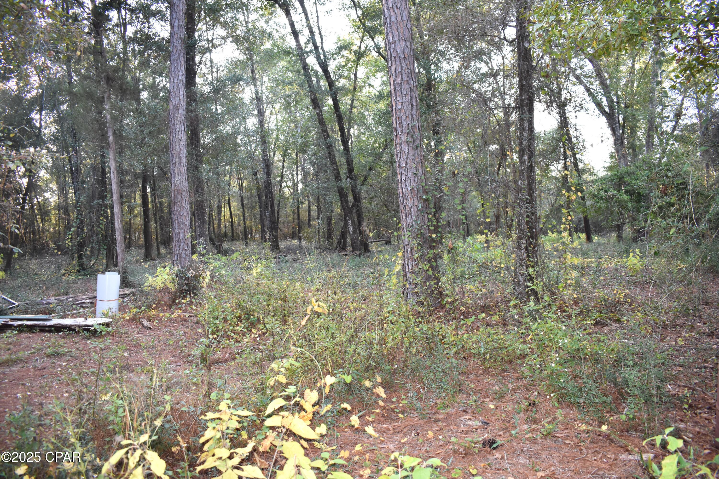 Image 26 For 1808 Lakeview Road