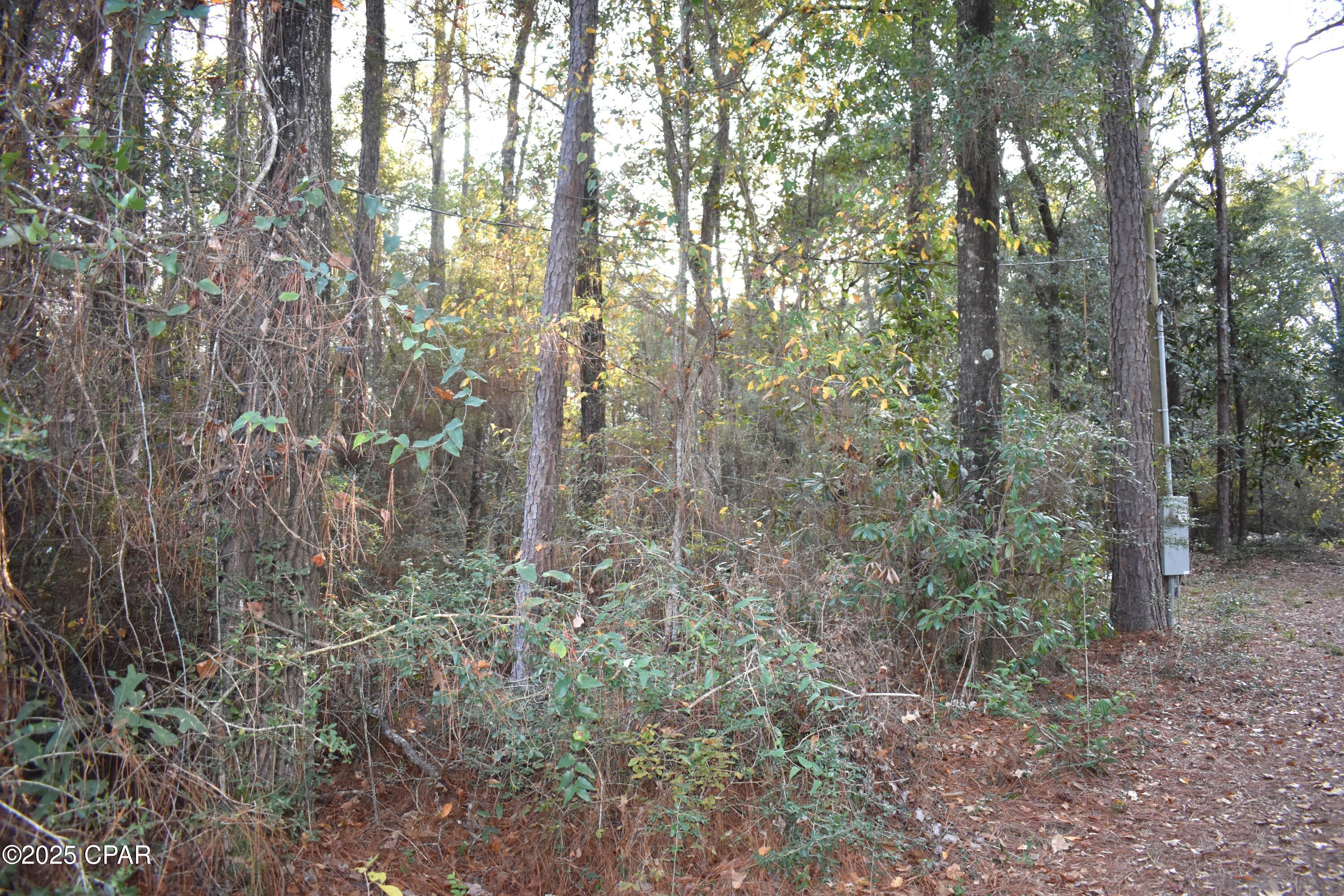 Image 27 For 1808 Lakeview Road