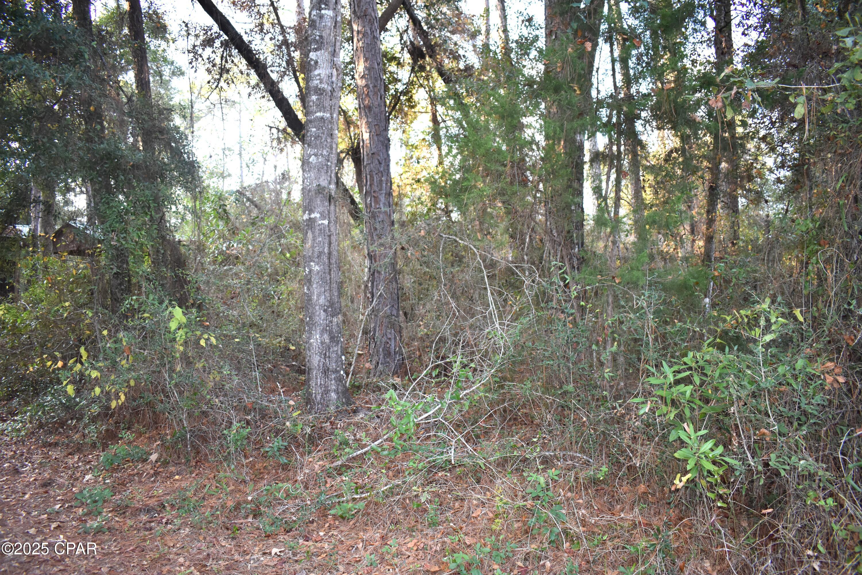 Image 28 For 1808 Lakeview Road