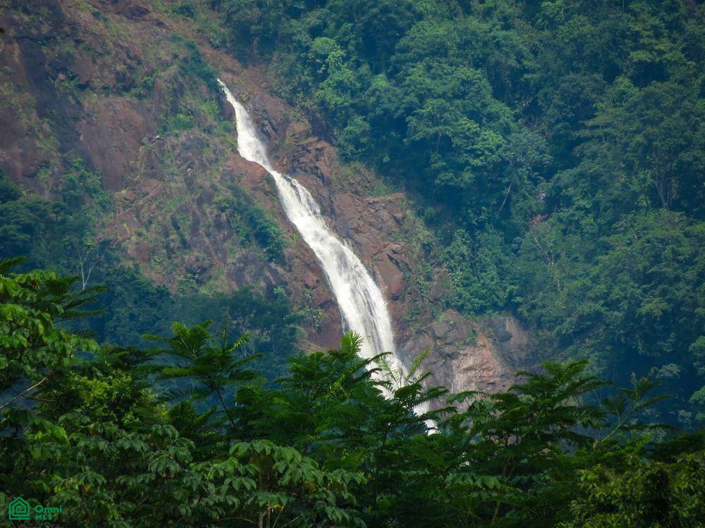 0 bed Land For Sale in Garabito, Puntarenas - 1