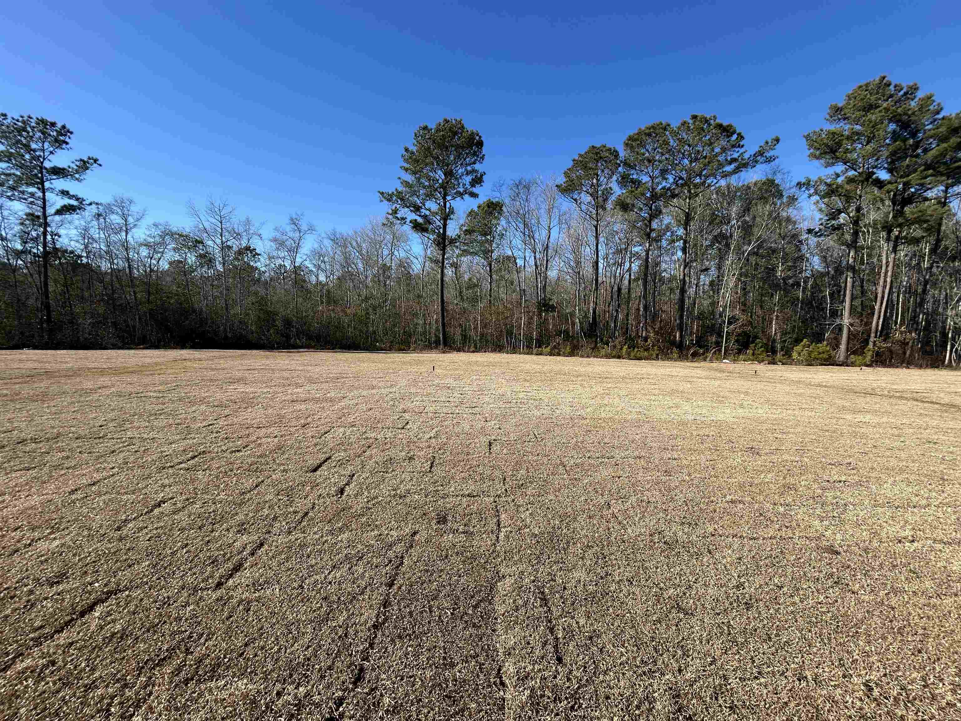 Homes for sale in Loris, SC | 450 Castillo Dr, Loris, SC 29569 | MLS# 2528139