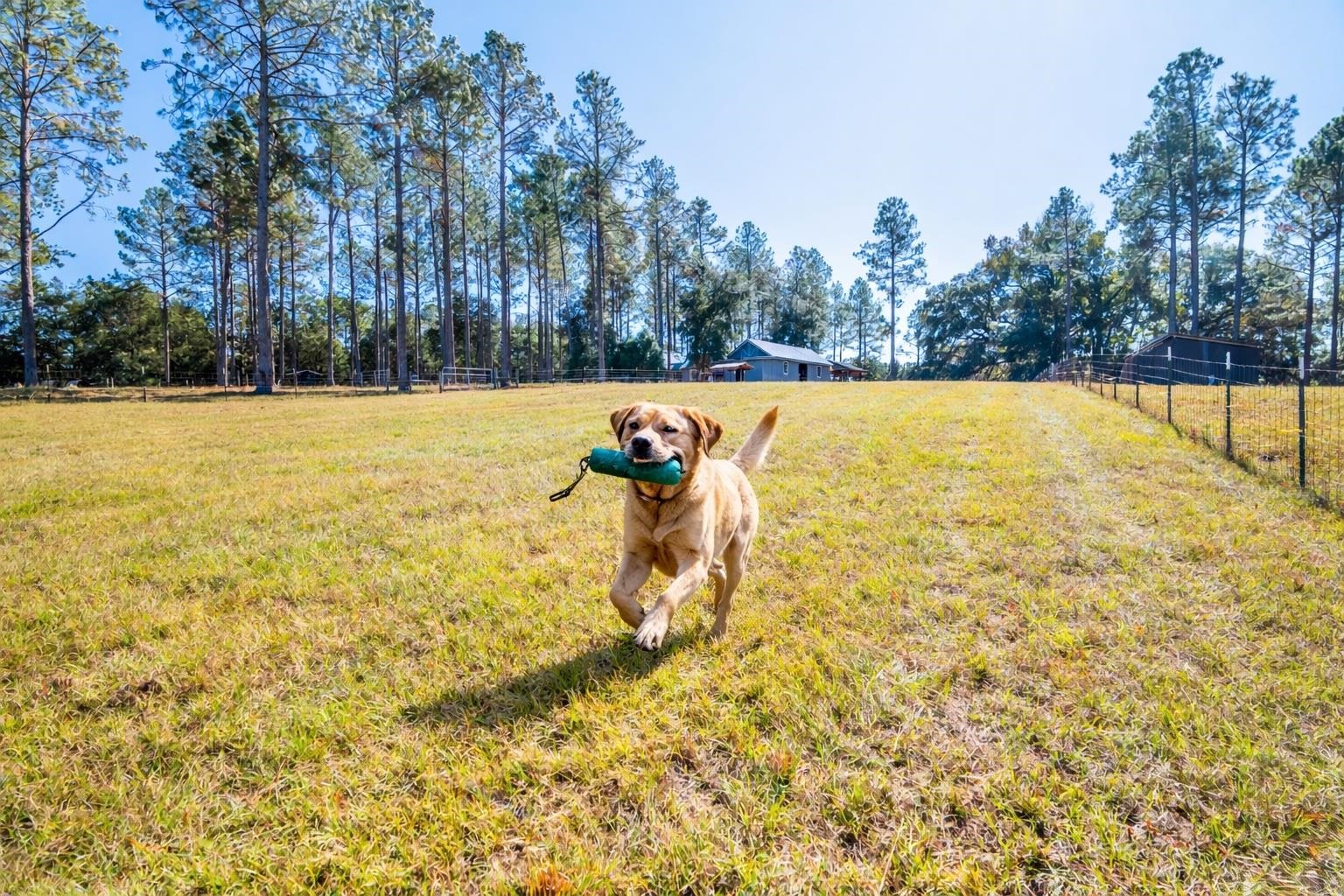 9283  Tallokas Road , Other Georgia, GA, 