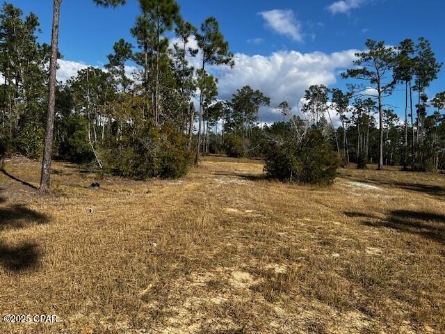 Image 14 For 00 Jarrott Daniels Road