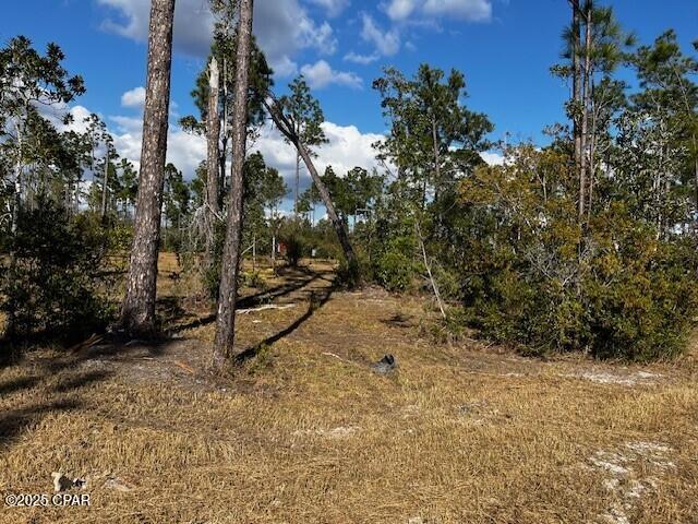 Image 16 For 00 Jarrott Daniels Road