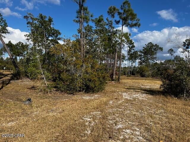 Image 17 For 00 Jarrott Daniels Road