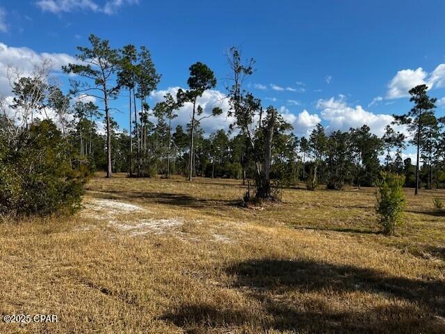 Image 18 For 00 Jarrott Daniels Road