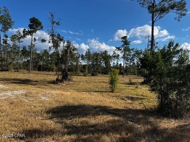 Image 19 For 00 Jarrott Daniels Road