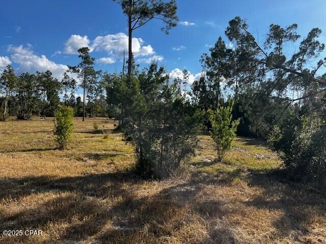 Image 20 For 00 Jarrott Daniels Road