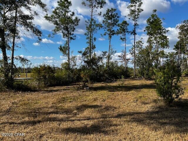 Image 21 For 00 Jarrott Daniels Road