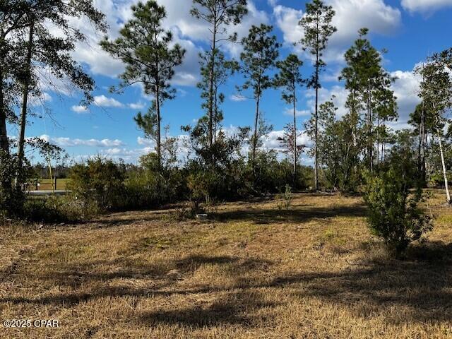 Image 22 For 00 Jarrott Daniels Road