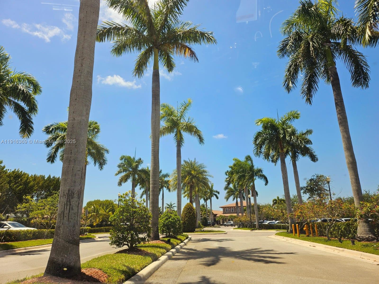 Investor special! Spacious 3-bedroom, 2-bath townhouse with long-term tenants already in place—no downtime, no turnover costs. Home features high ceilings, well-kept interiors, and a desirable Cutler Bay location. Perfect for investors seeking stable cash flow and a low-maintenance asset with a professionally managed community. Lease valid through August 2026 and transfers to new owner.