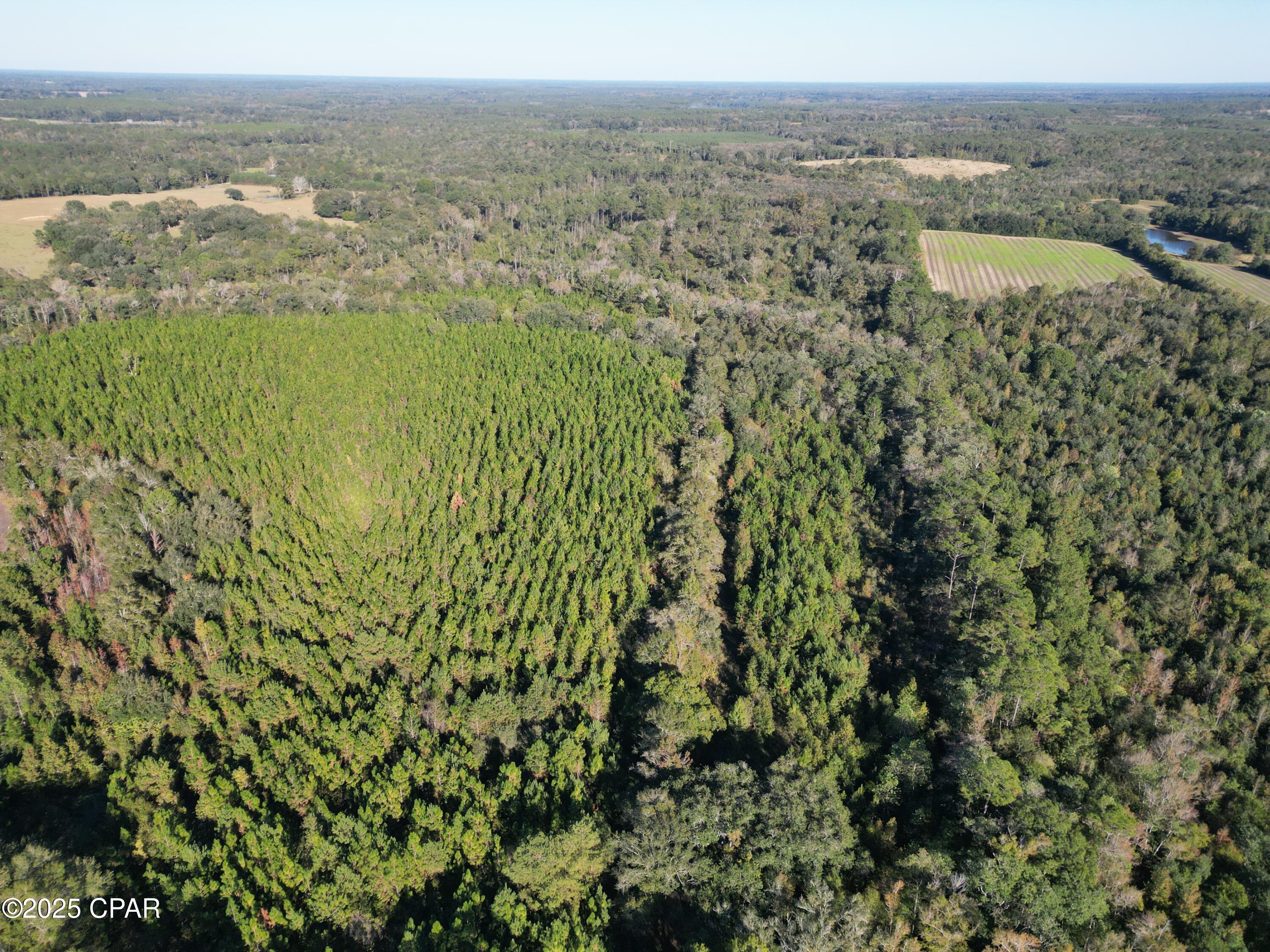 Details for 0000 Arrant Road, Westville, FL 32464