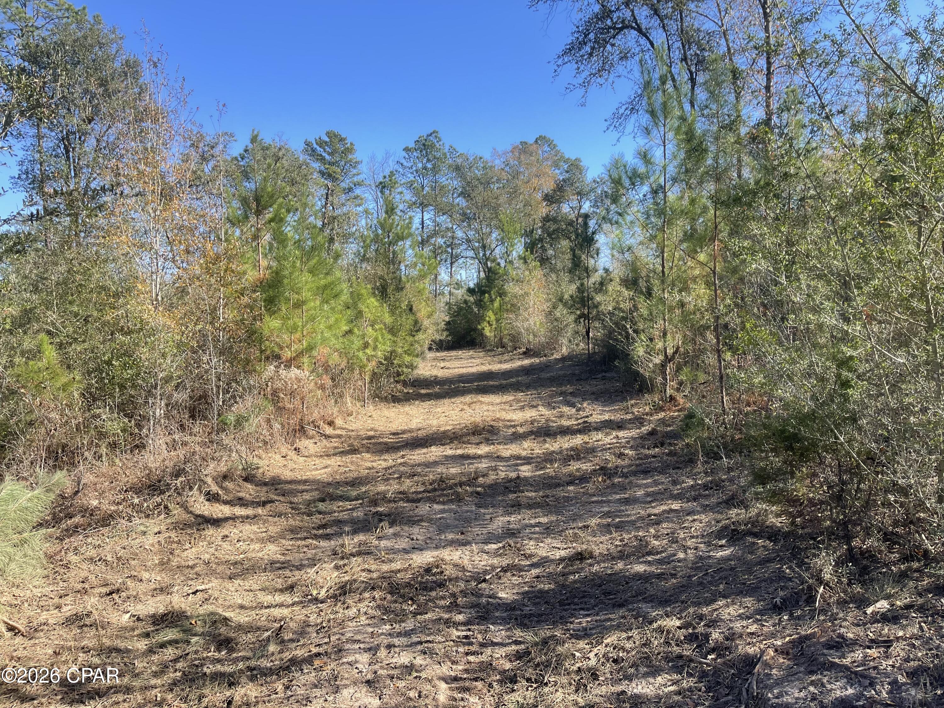 Listing photo id 1 for 0000 Arrant Road