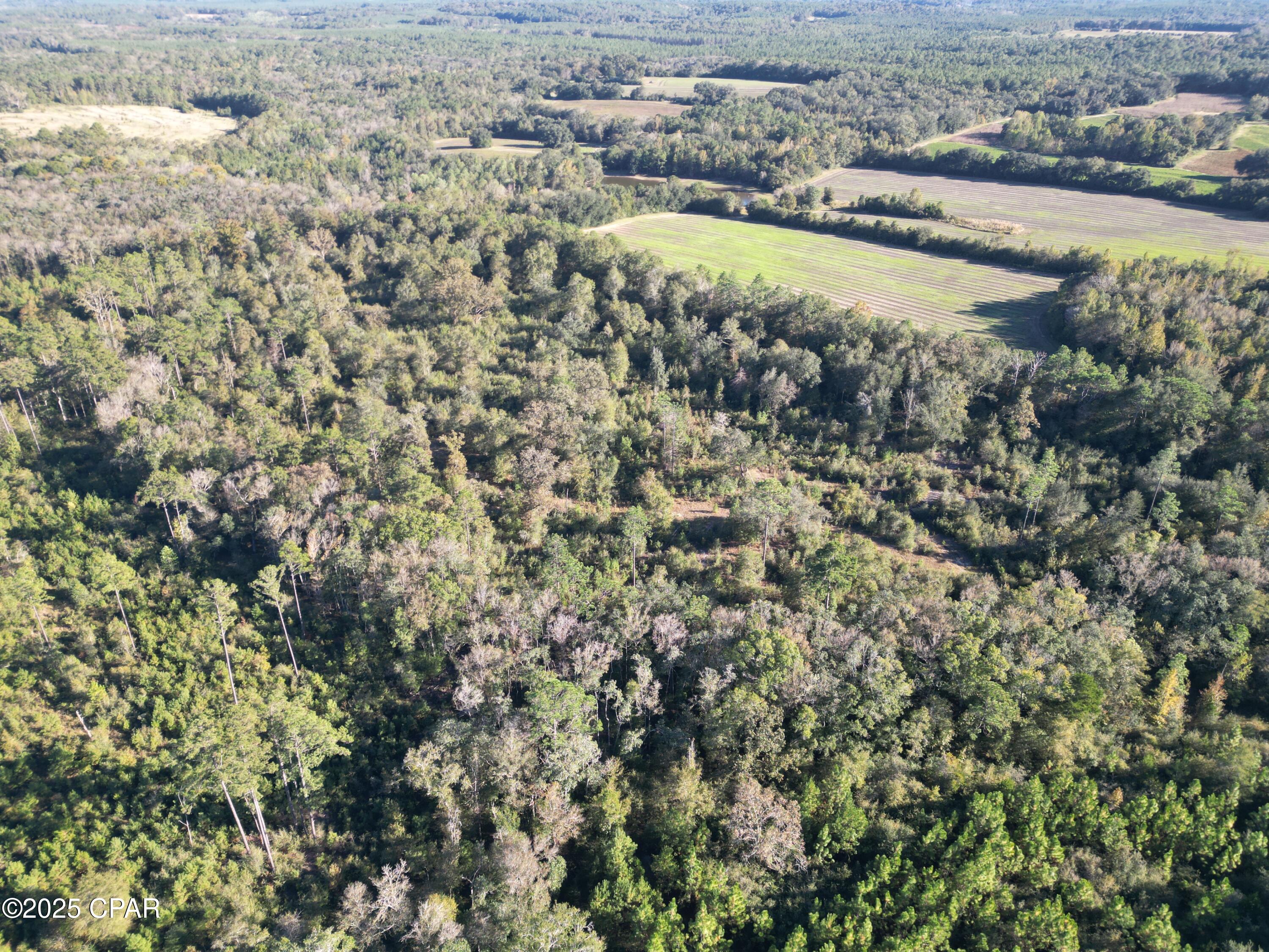 Image 10 For 0000 Arrant Road