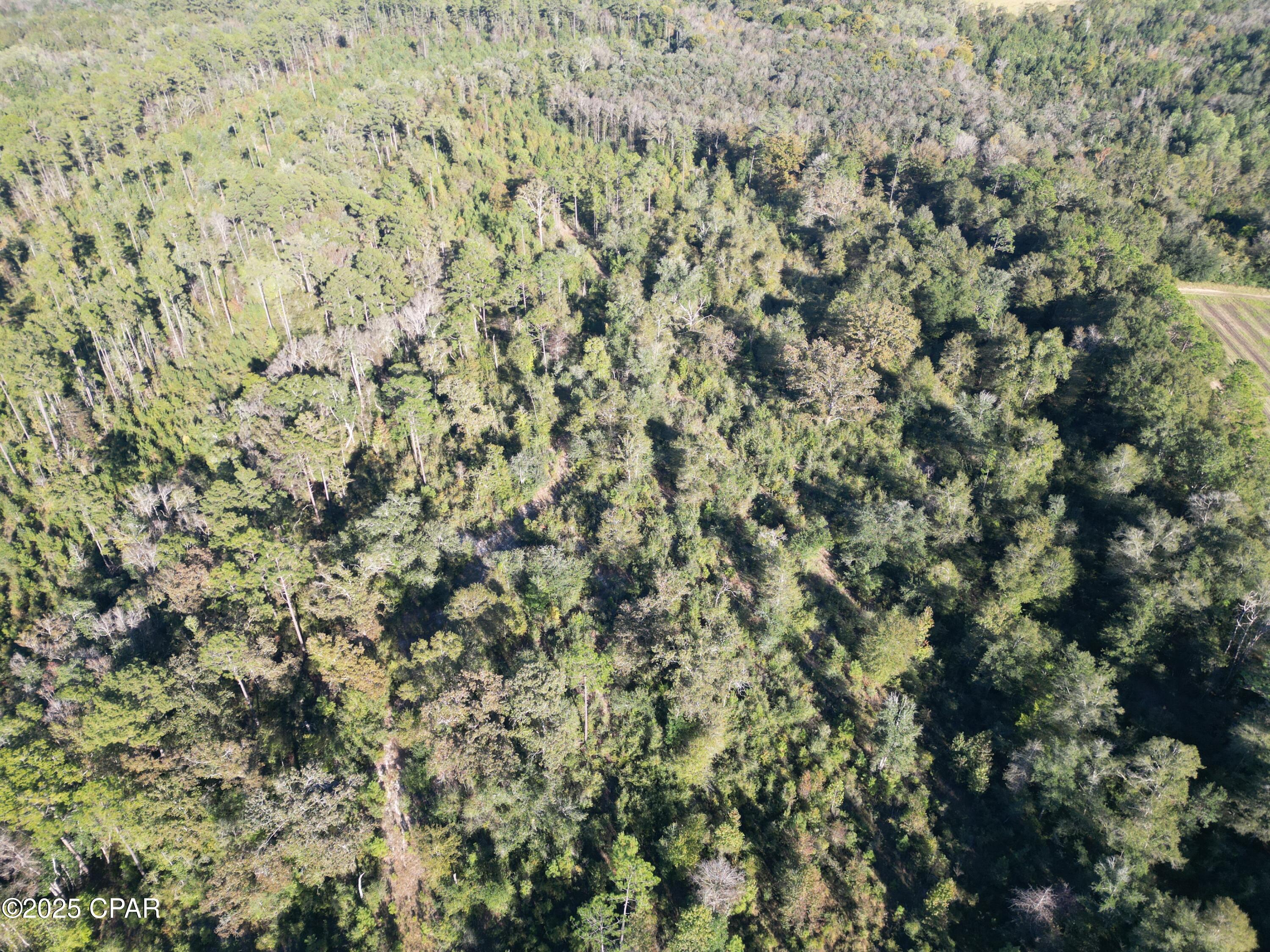 Image 11 For 0000 Arrant Road