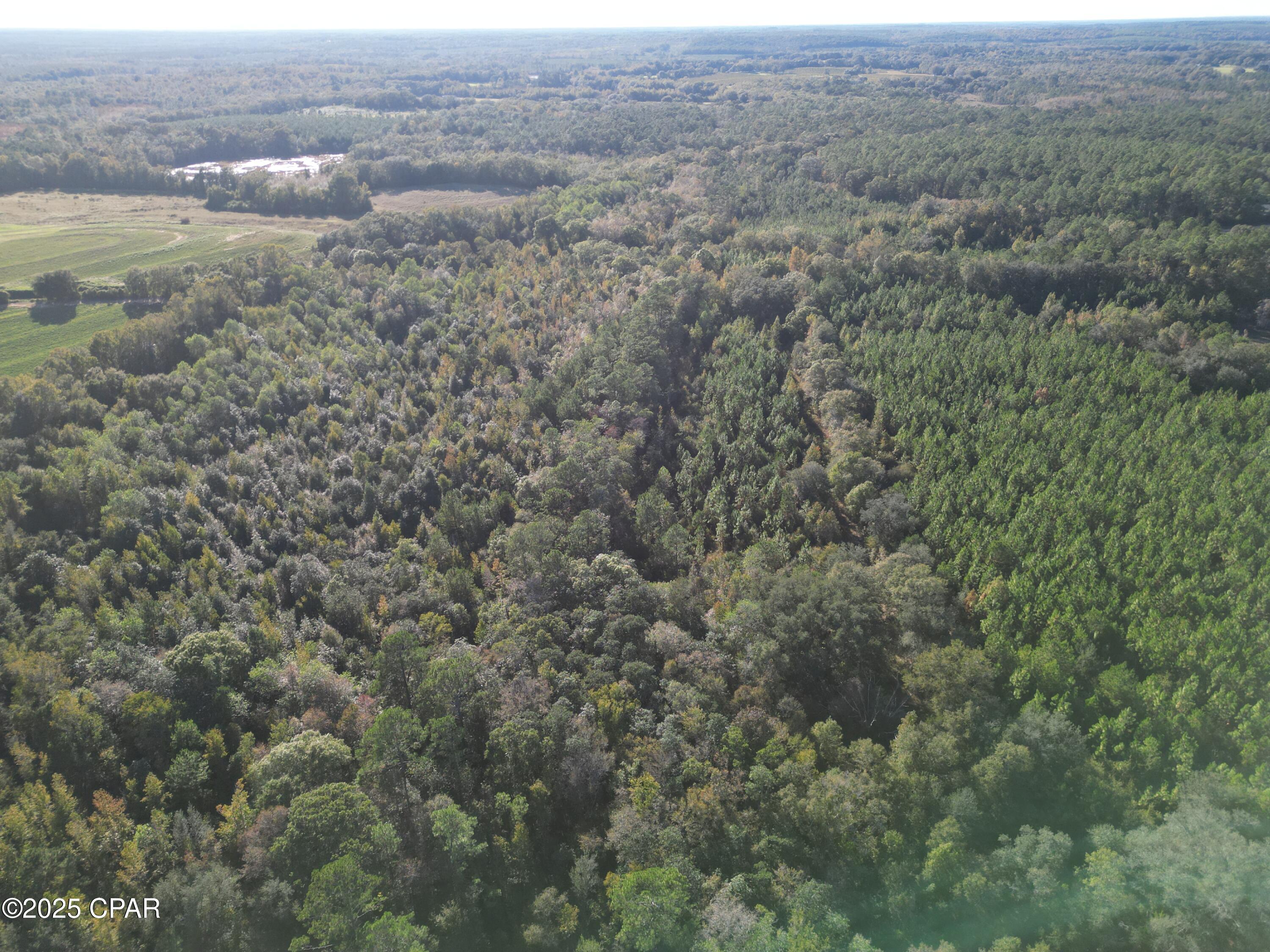 Listing photo id 13 for 0000 Arrant Road