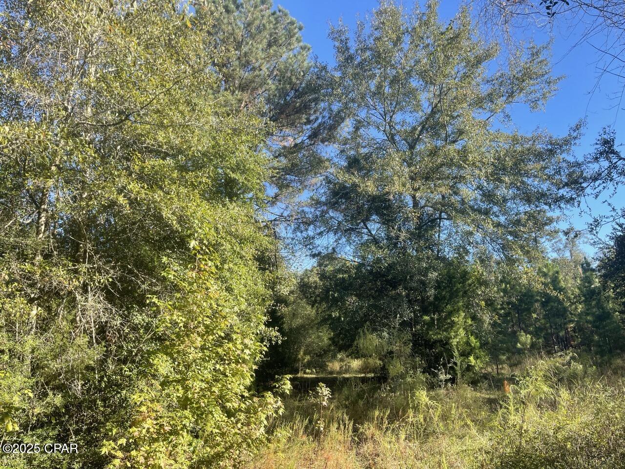 Image 14 For 0000 Arrant Road