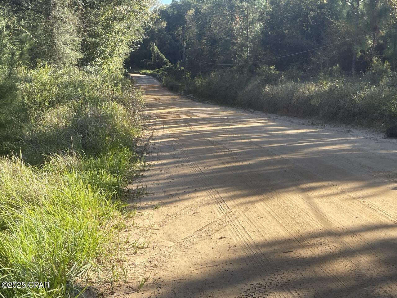 Listing photo id 14 for 0000 Arrant Road