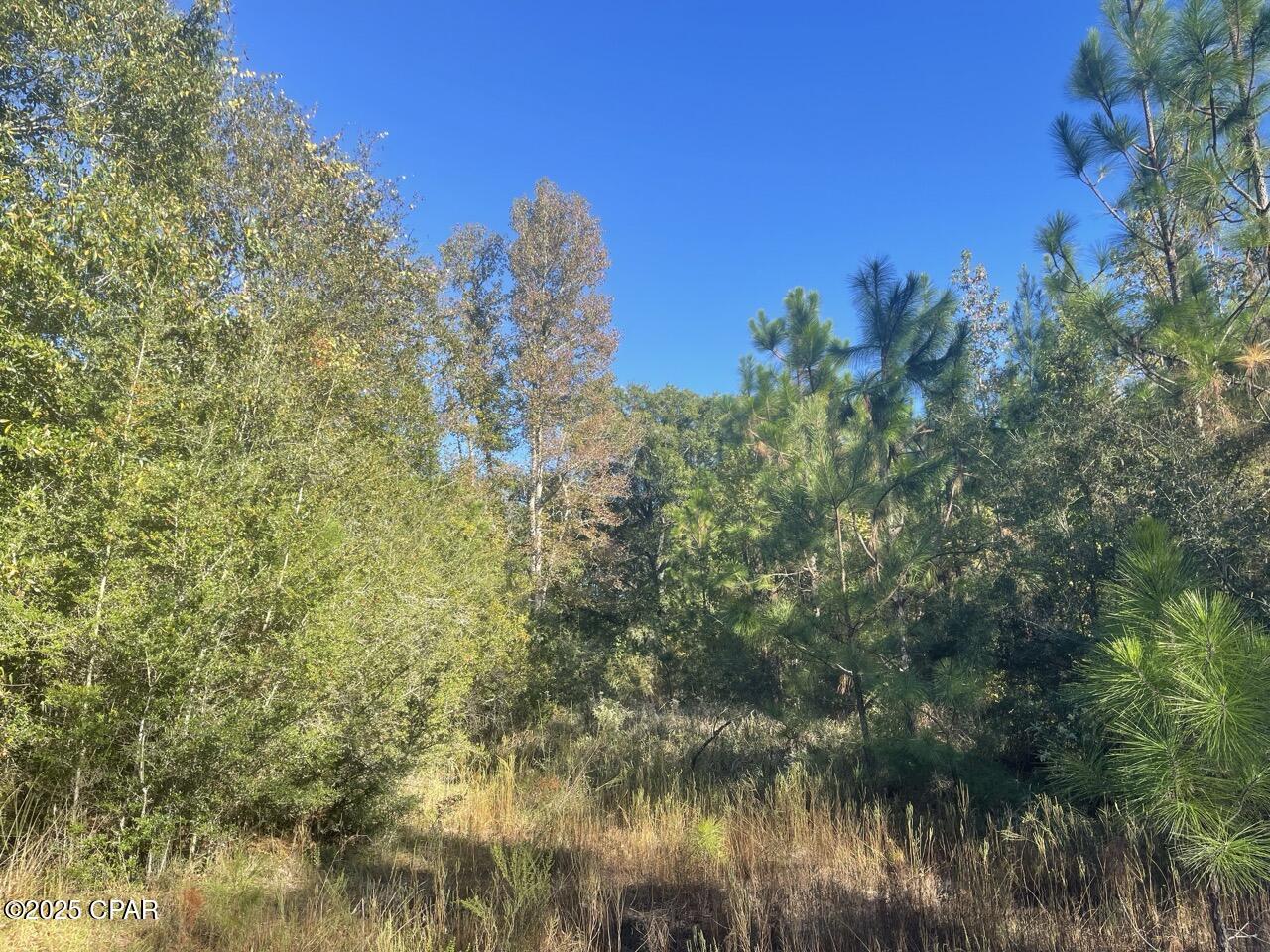 Image 16 For 0000 Arrant Road