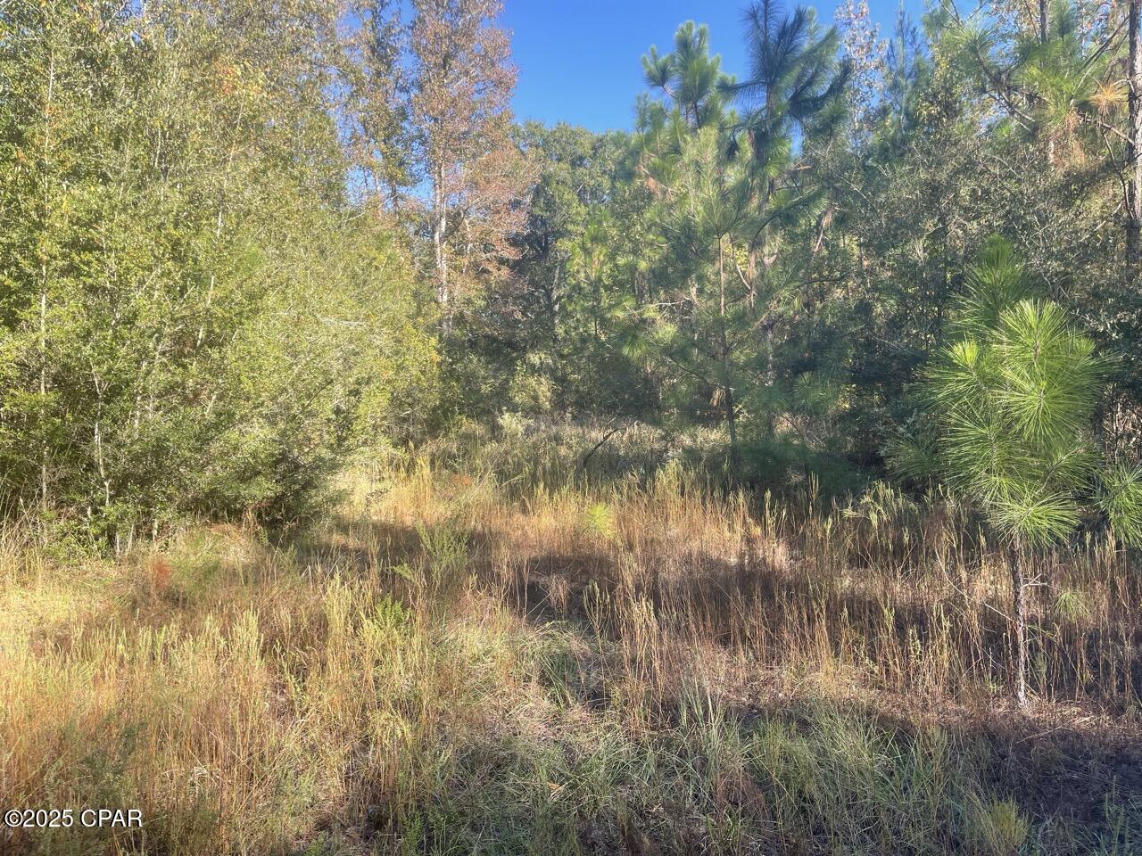 Listing photo id 16 for 0000 Arrant Road