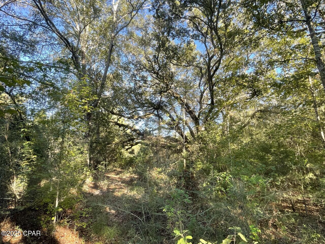 Image 18 For 0000 Arrant Road